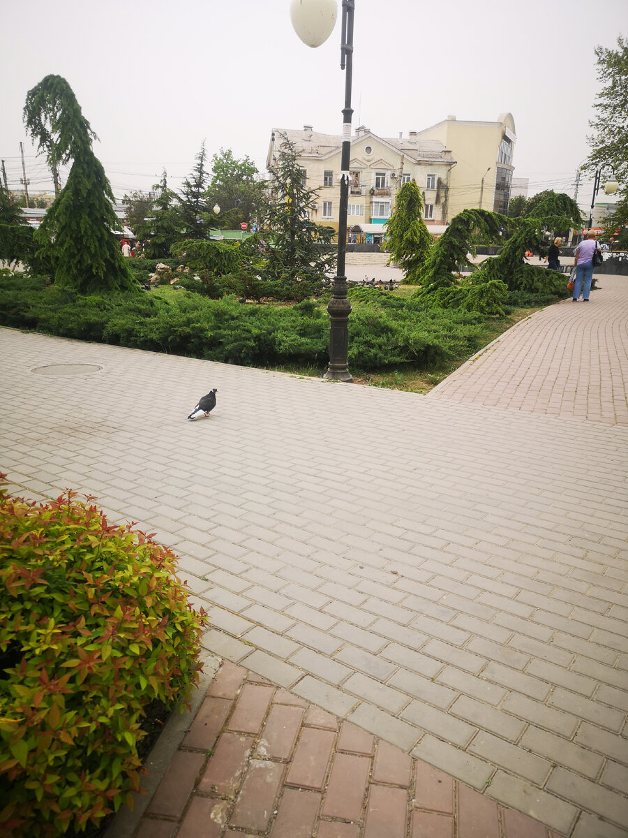 Площадь перед Центральным рынком