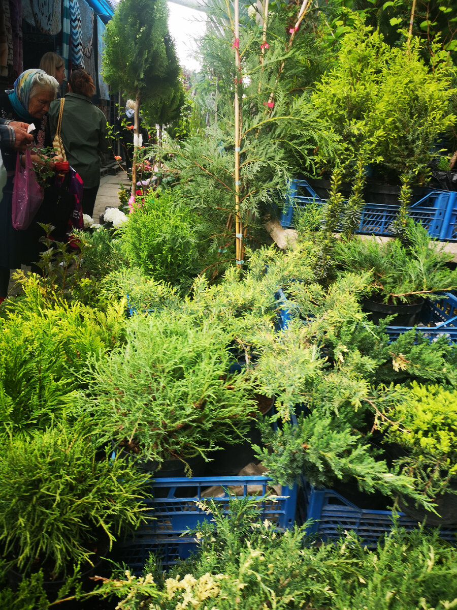 Чего только нет на этом рынке! 