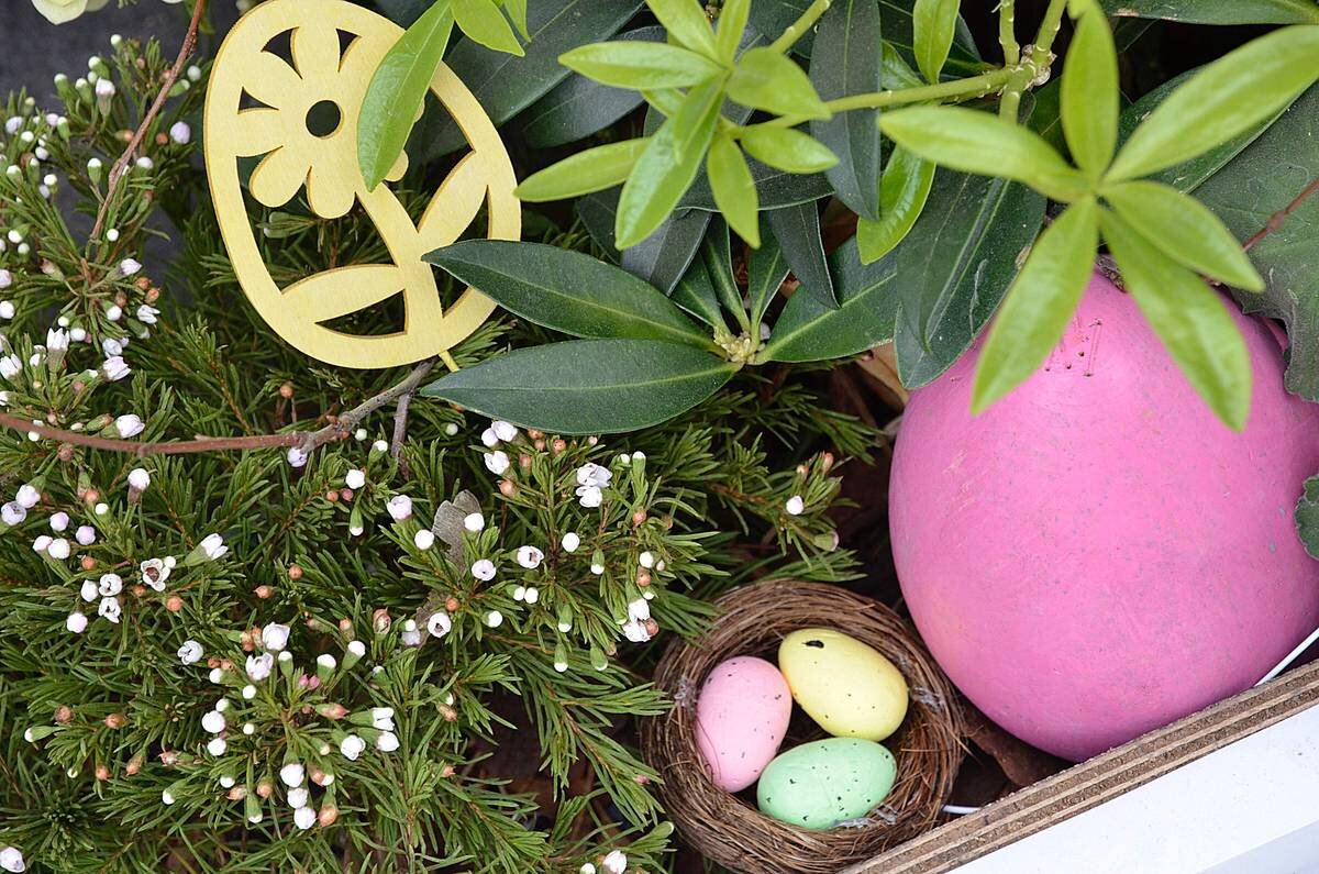    Фото: Анна Быкова / Вечерняя Москва