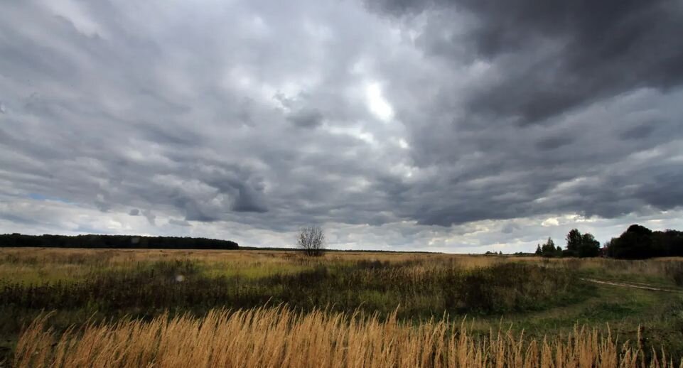    Медиасток.рф