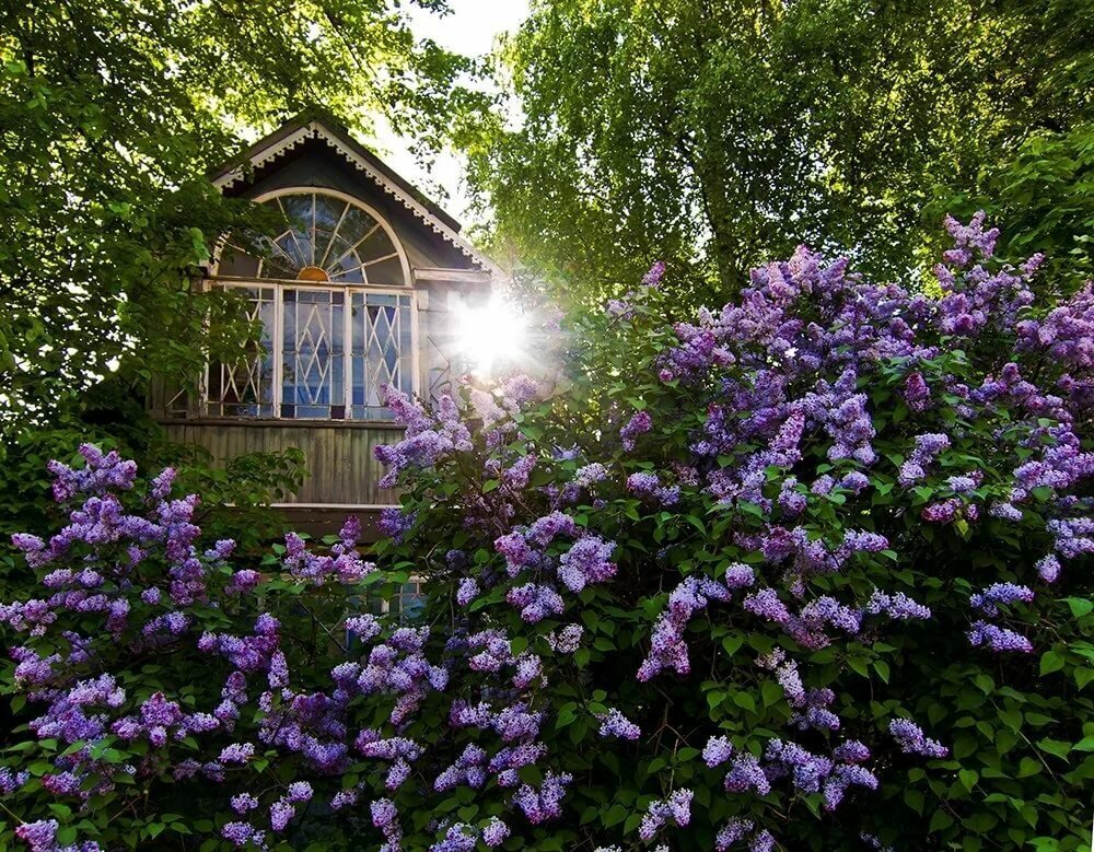 Из открытых источников