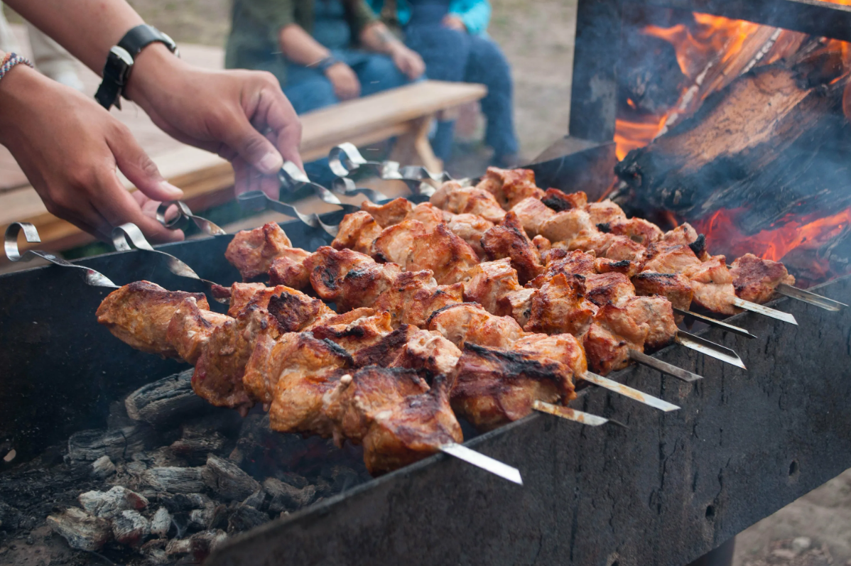 🥩 Мир! Труд! Пикник! 12 парков в Москве, где можно пожарить шашлык | НИУ  МГСУ | Главный строительный | Дзен