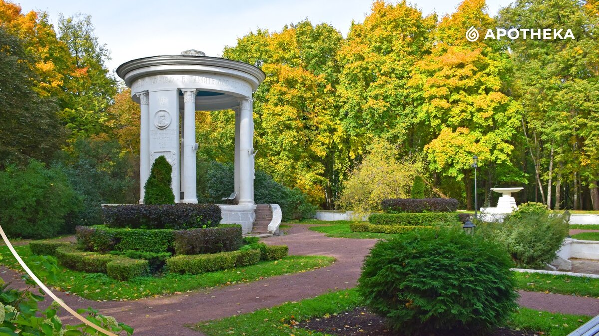 Москва нескучный сад нескучный сад. Москва нескучный сад нескучный сад. Нескучный сад в парке горького москва. Нескучный сад в москве фото. Нескучный сад ленинский проспект.