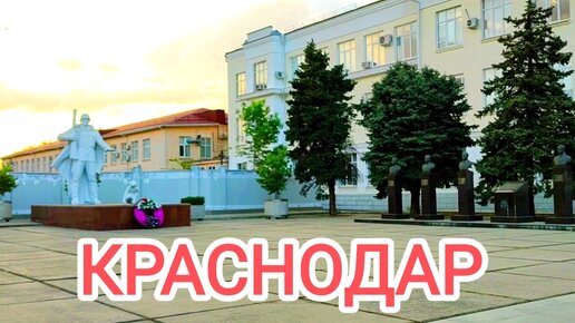 Россия. Краснодар. Начался сезон цветения каштанов, акации, спиреи (невеста). Апрель.