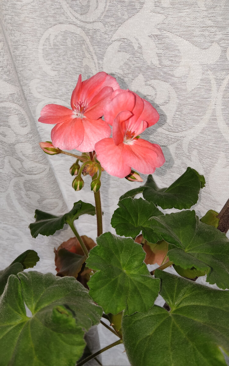 очень нравится цвет, прям кислотно розовый