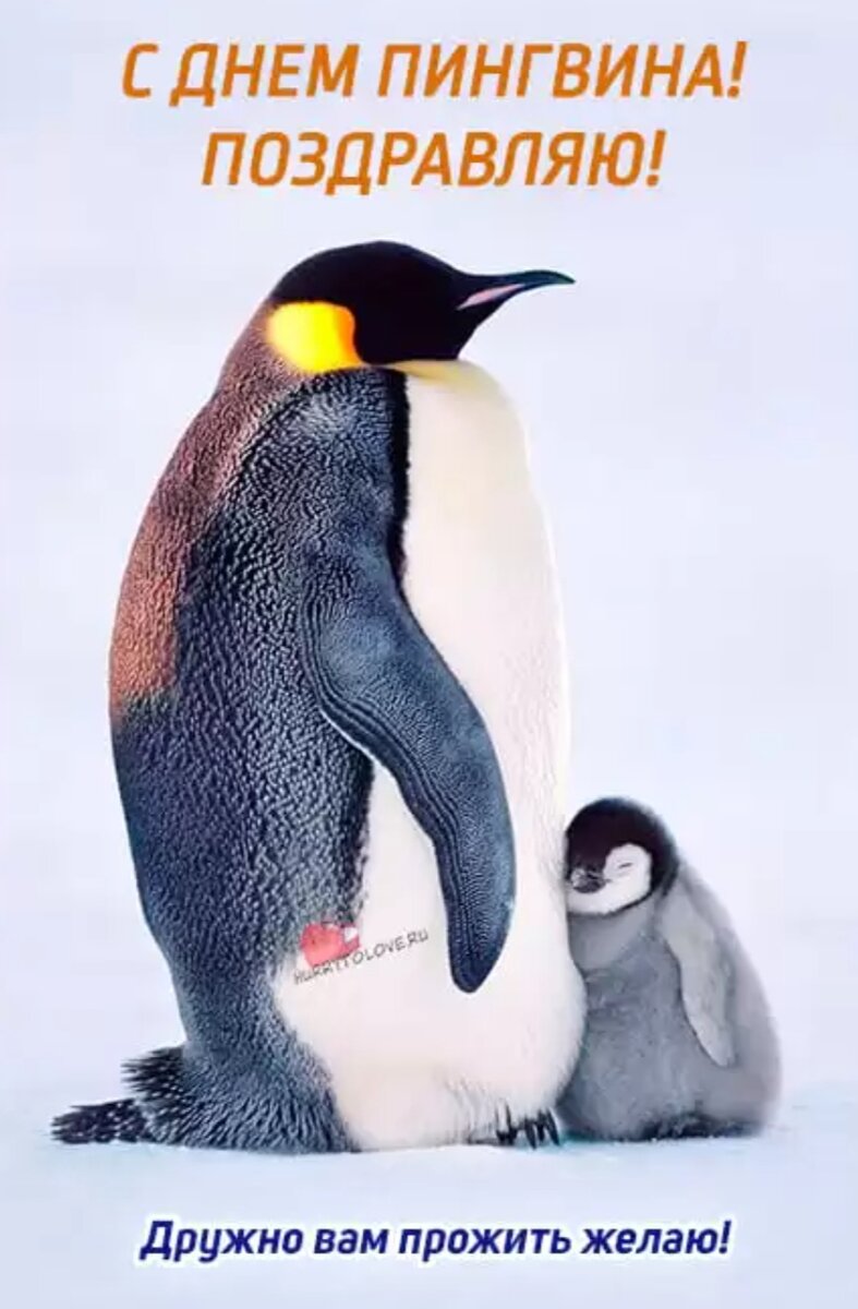 Из интернета