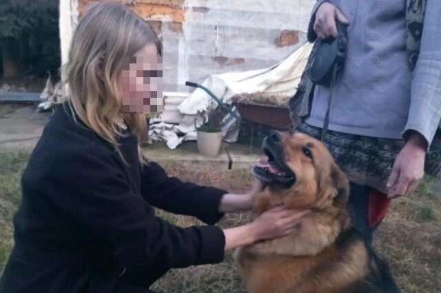    Однажды девушка спасли собак из горящего дома, удивив земляков. Фото: кадр из видео