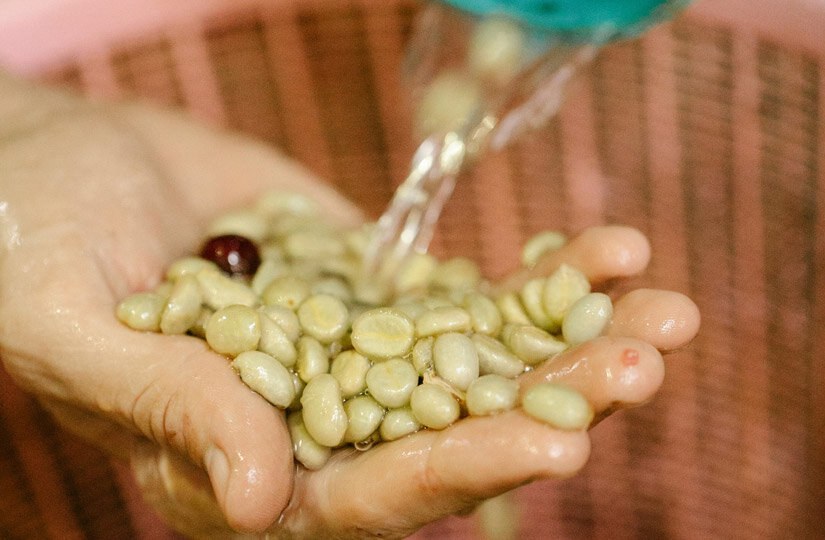 Фото: pexels.com 