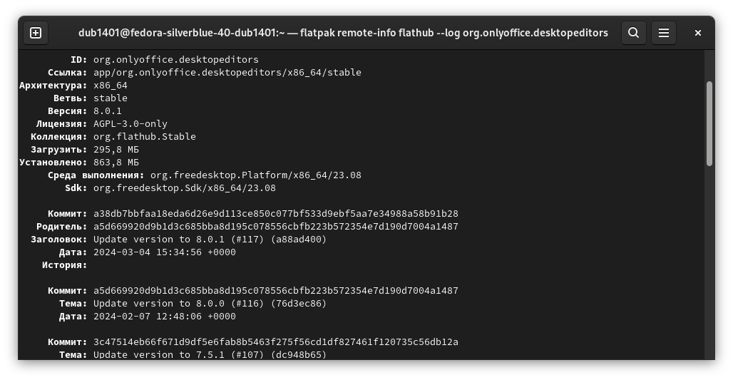 Информация о репозитории приложения