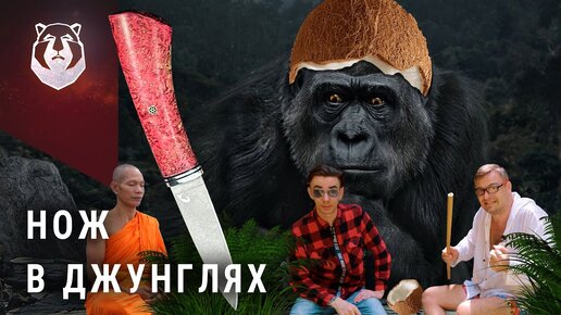 В поисках ножа! На что способен нож в джунглях?