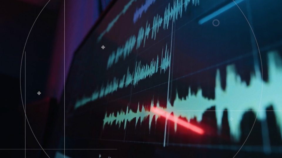 Фото: © Скриншот видео