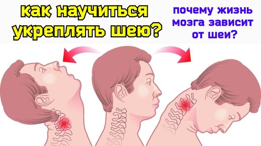 Шея и мозг страдают от нехватки крови? Спасите 4 главные шейные мышцы. Не делайте 4 популярные ошибки