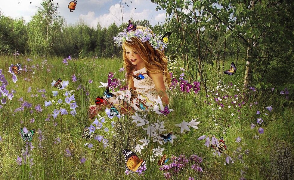 Не понять: где бабочка, где живой цветок?