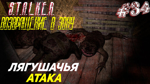 ЛЯГУШАЧЬЯ АТАКА ➤ S.T.A.L.K.E.R. Возвращение в Зону Прохождение #34