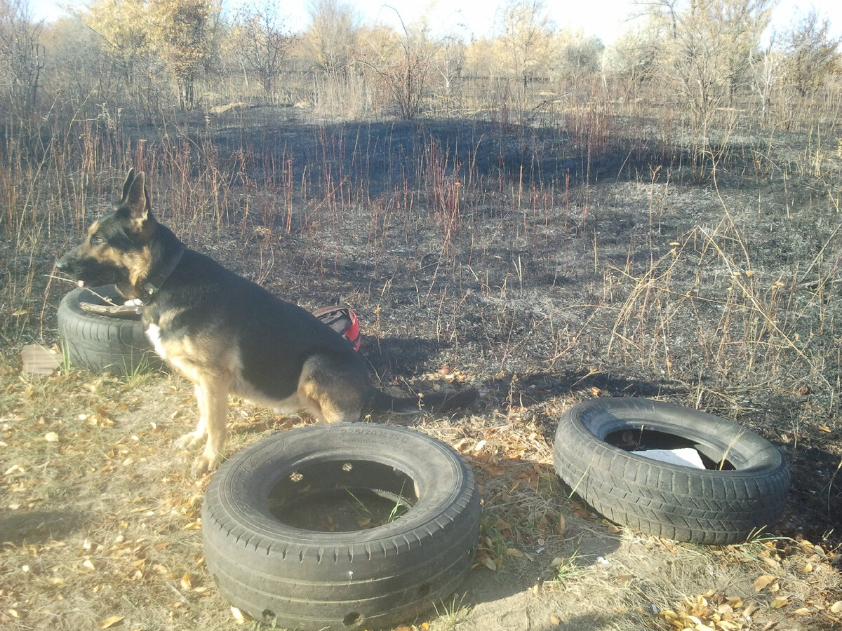 Фото автора