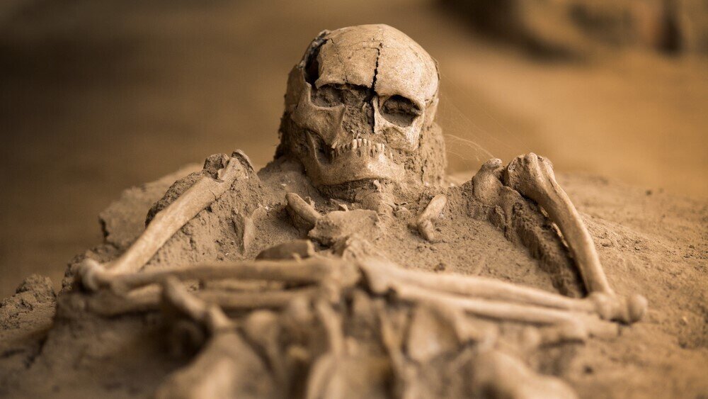    Фото: Shutterstock