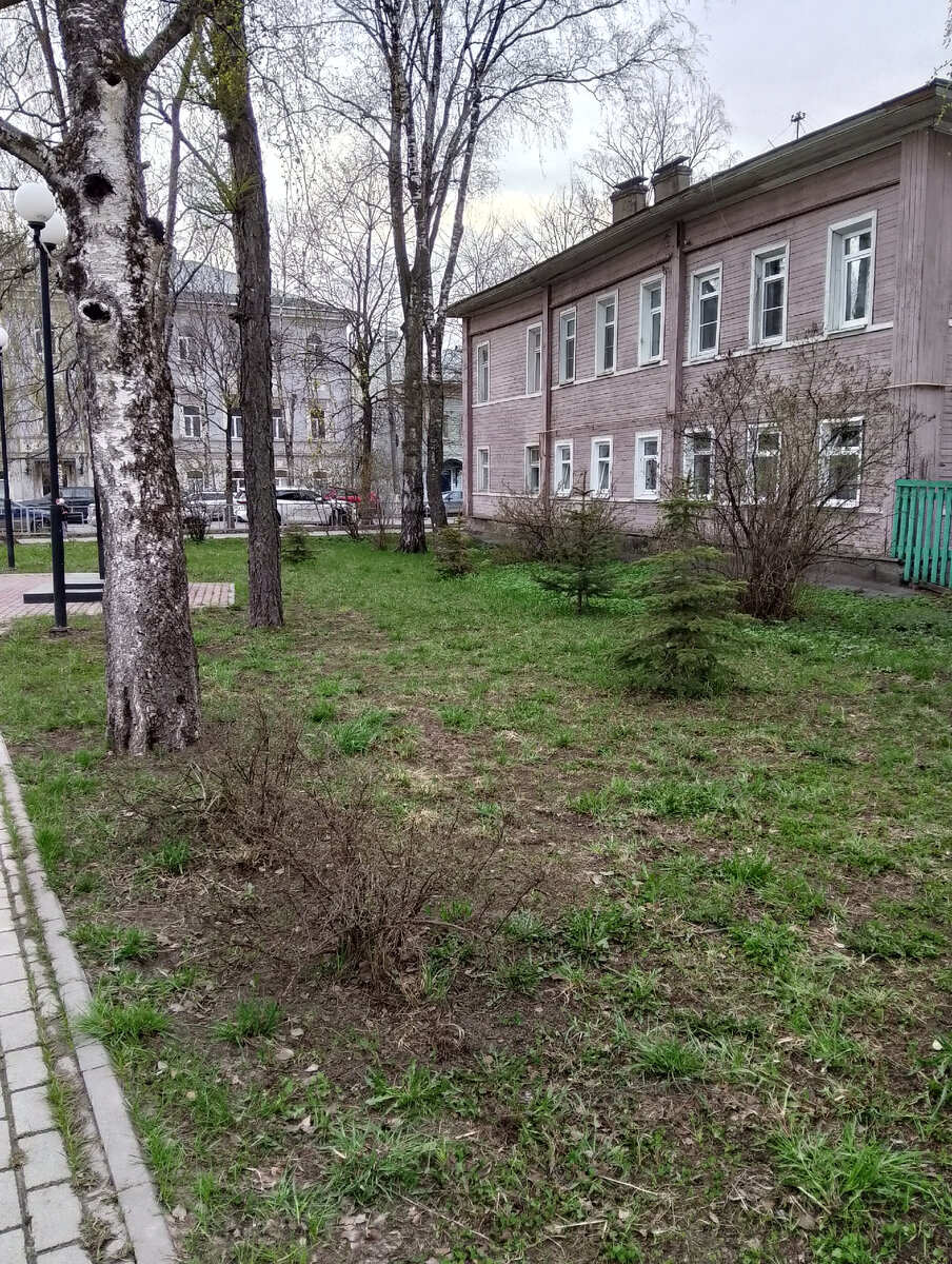 Этот же сквер с другого ракурса, фото автора