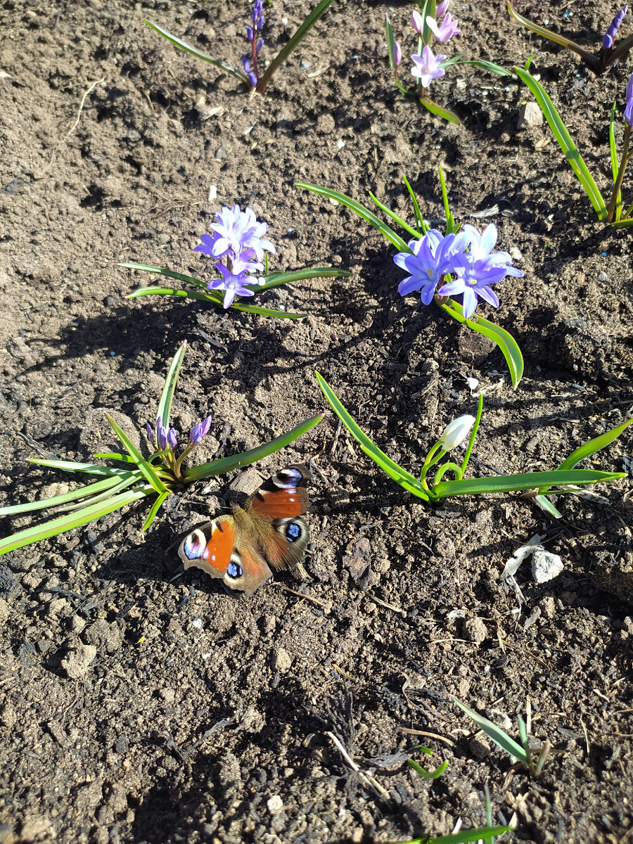 Сколько трудностей приходится преодолеть этим крошечным существам! 