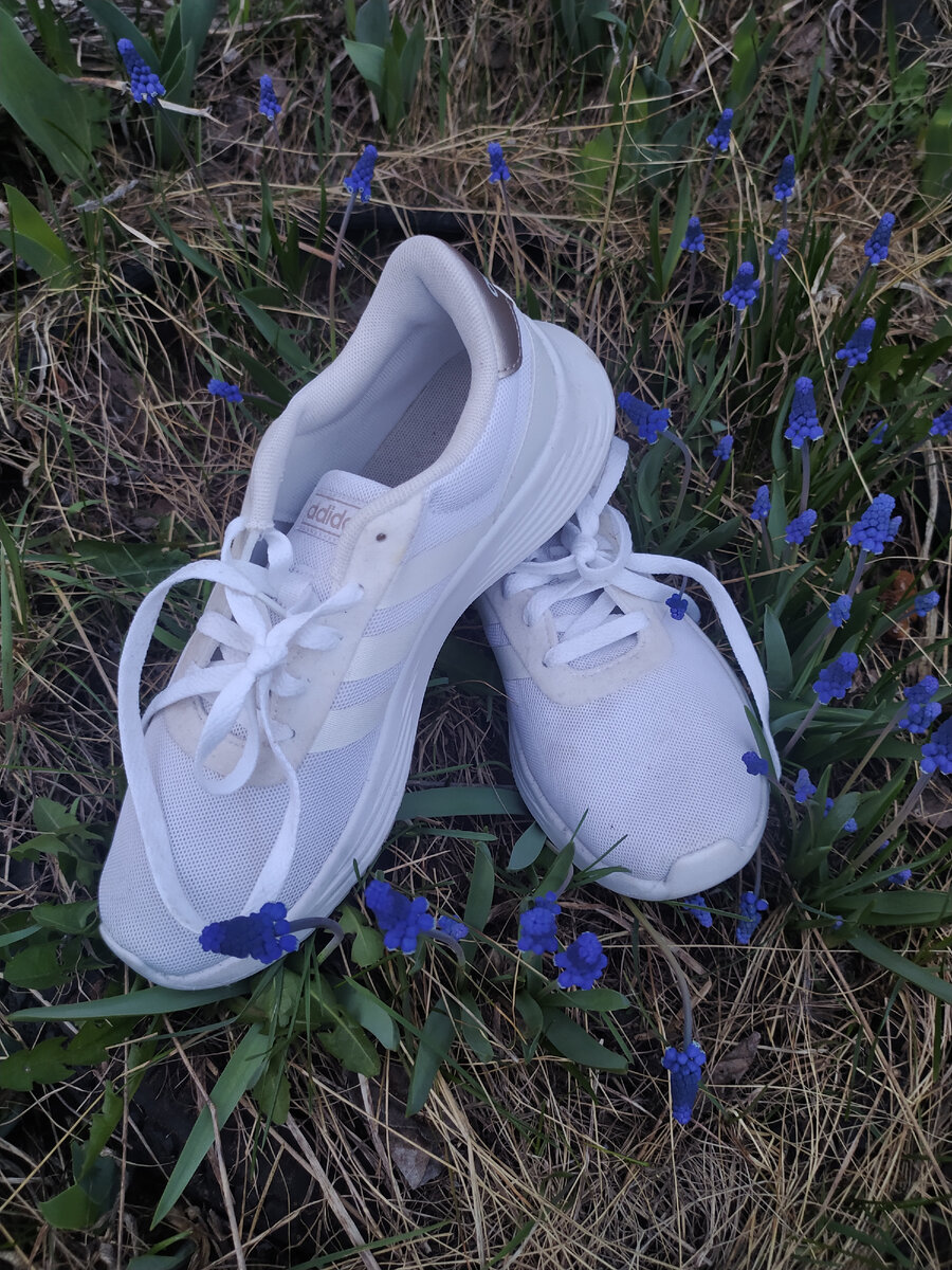 Перезимовали! 