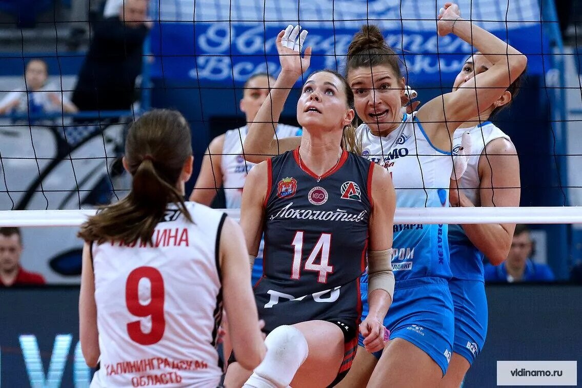 Фото ЖВК «Динамо»