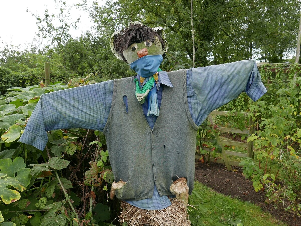 Источник фото - https://goo.su/5f7Ws