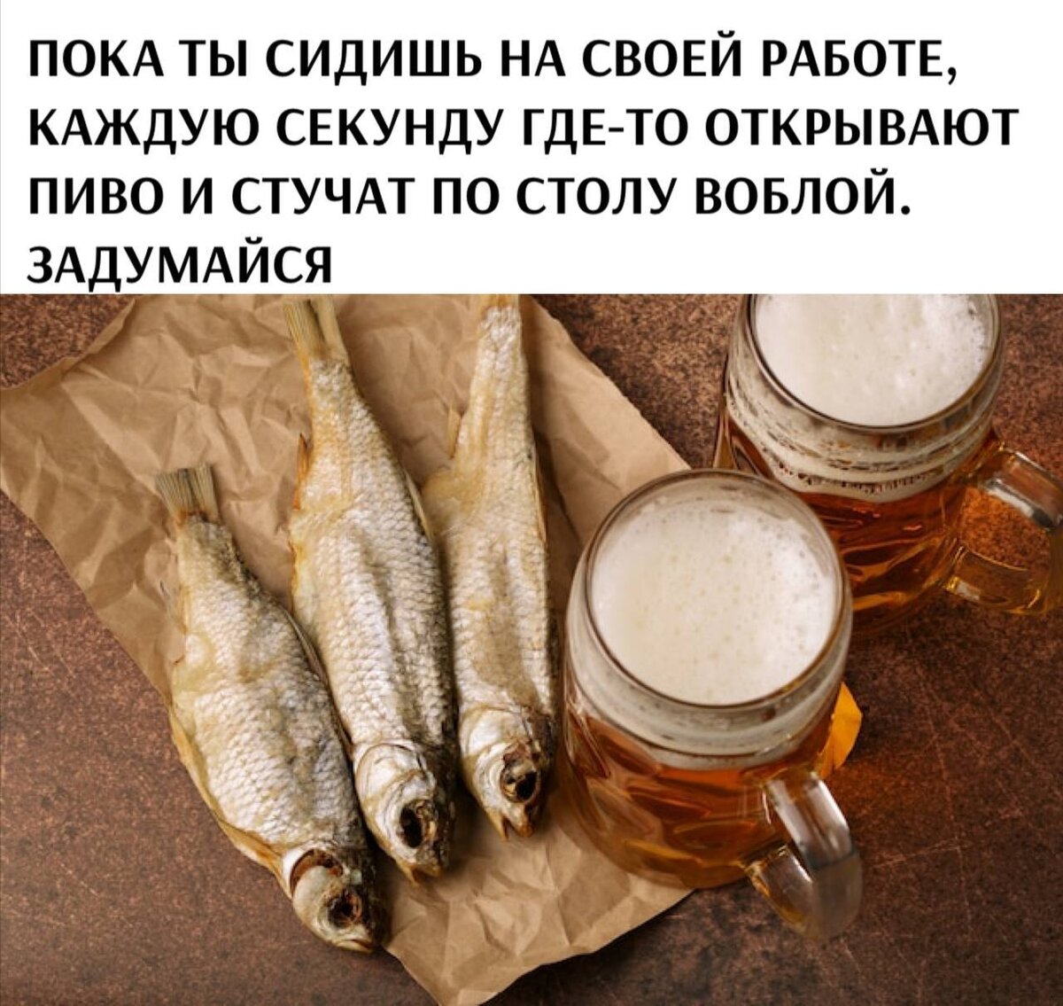 Феномен популярности вяленой воблы в России для многих до сих пор остаётся загадкой. В том числе и для меня... — Димон, ты что сейчас делаешь? — Заливную рыбу. — Ого! Ты умеешь готовить заливную рыбу?