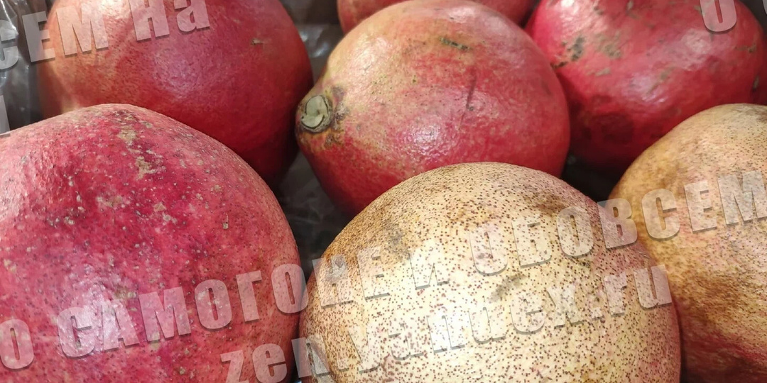 Самые выкусные гранатовые настойки(наливки) на самогоне. Пять рецептов.