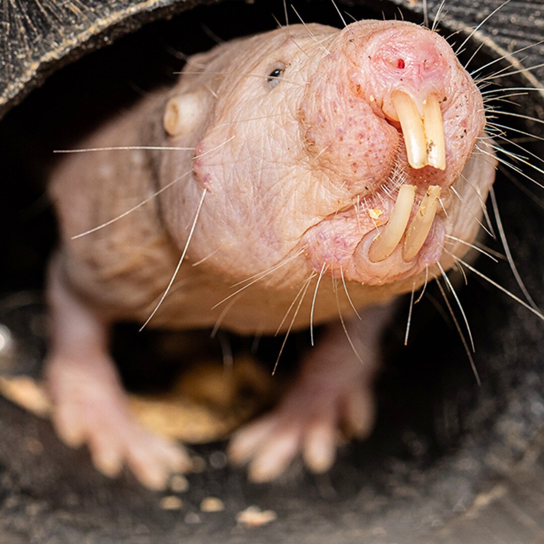 Источник teachingexpertise.com