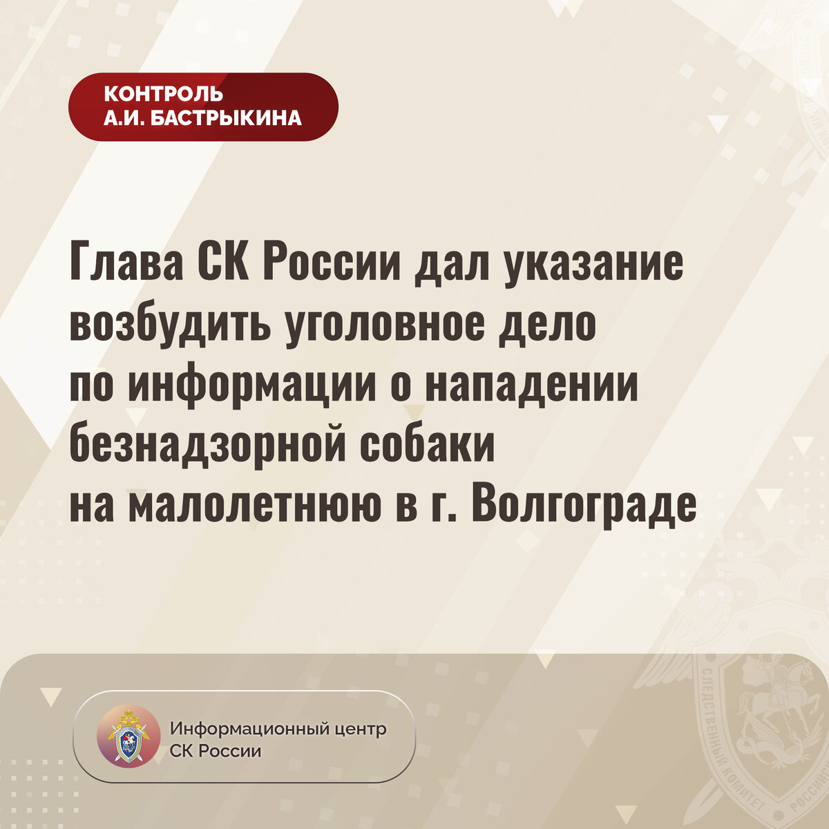 Глава СК России дал указание возбудить уголовное дело по информации о  нападении безнадзорной собаки на малолетнюю в г. Волгограде |  Информационный центр СК России | Дзен