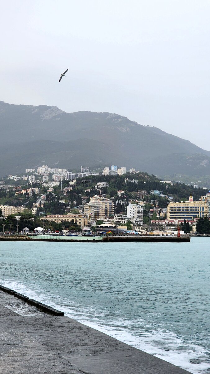 Вот это мне повезло! Наверное ... | Я путешествую одна | Дзен