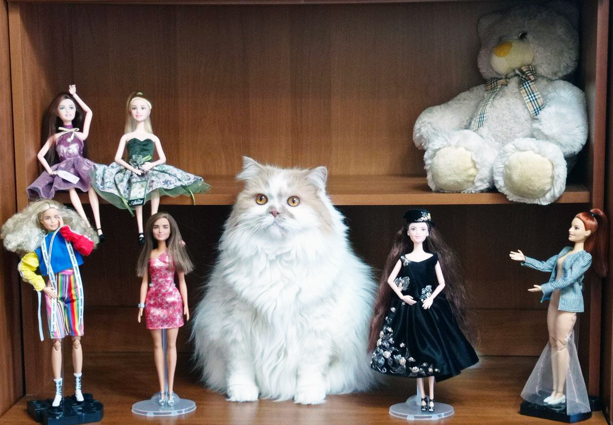 Фото автора