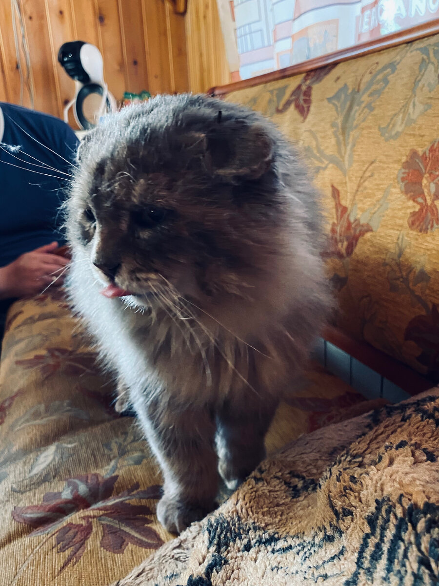 Вот вам! Я клетки открываю на раз!