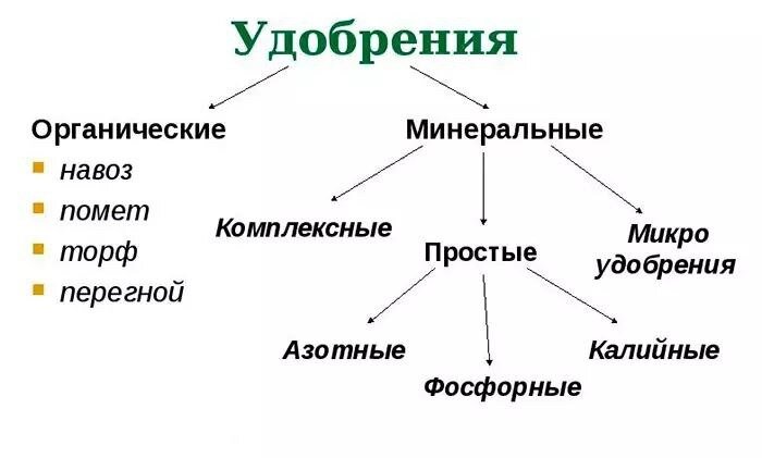 Фото 2 - Классификация удобрений.