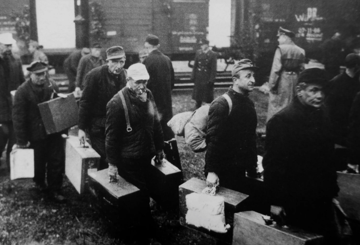 Немцы возвращаются домой. Источник фото: яндекс картинки