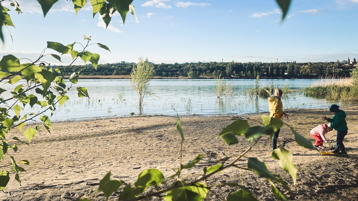     Источник: 1MI