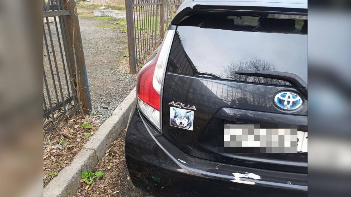     Источник: dpskontrol_125rus