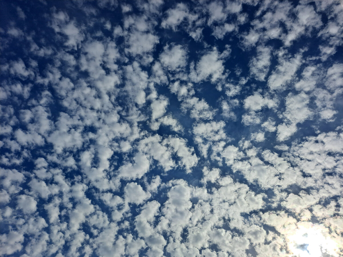 В человеке главное — человечность