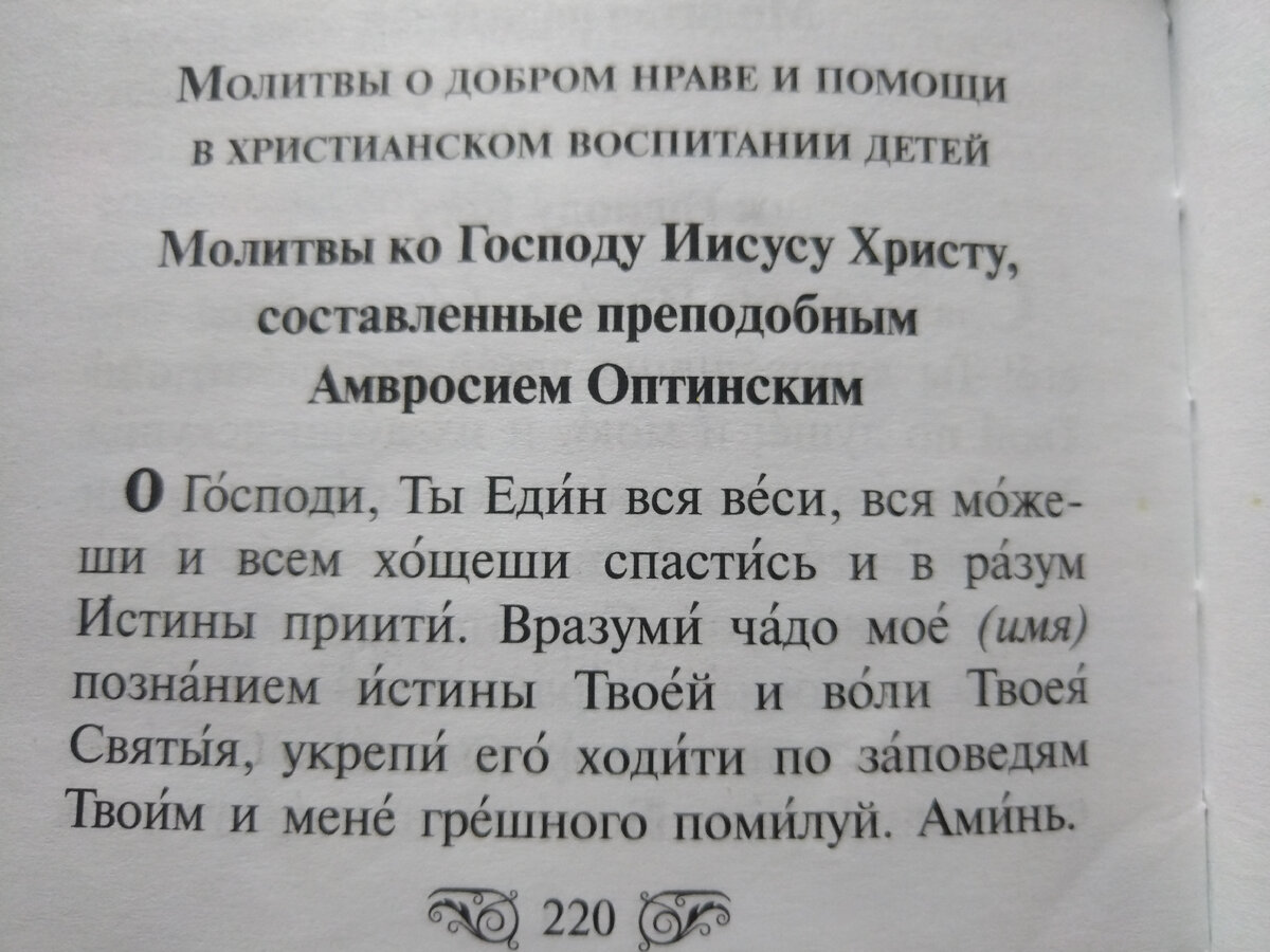 Молитва Амвросия Оптинского о детях; ясная, тёплая, простая | Записки  матушки Анны..🍁 | Дзен