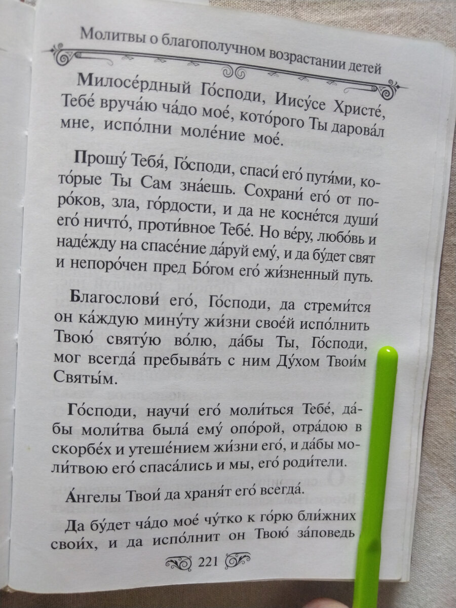 Молитва Амвросия Оптинского о детях; ясная, тёплая, простая | Записки  матушки Анны..🍁 | Дзен