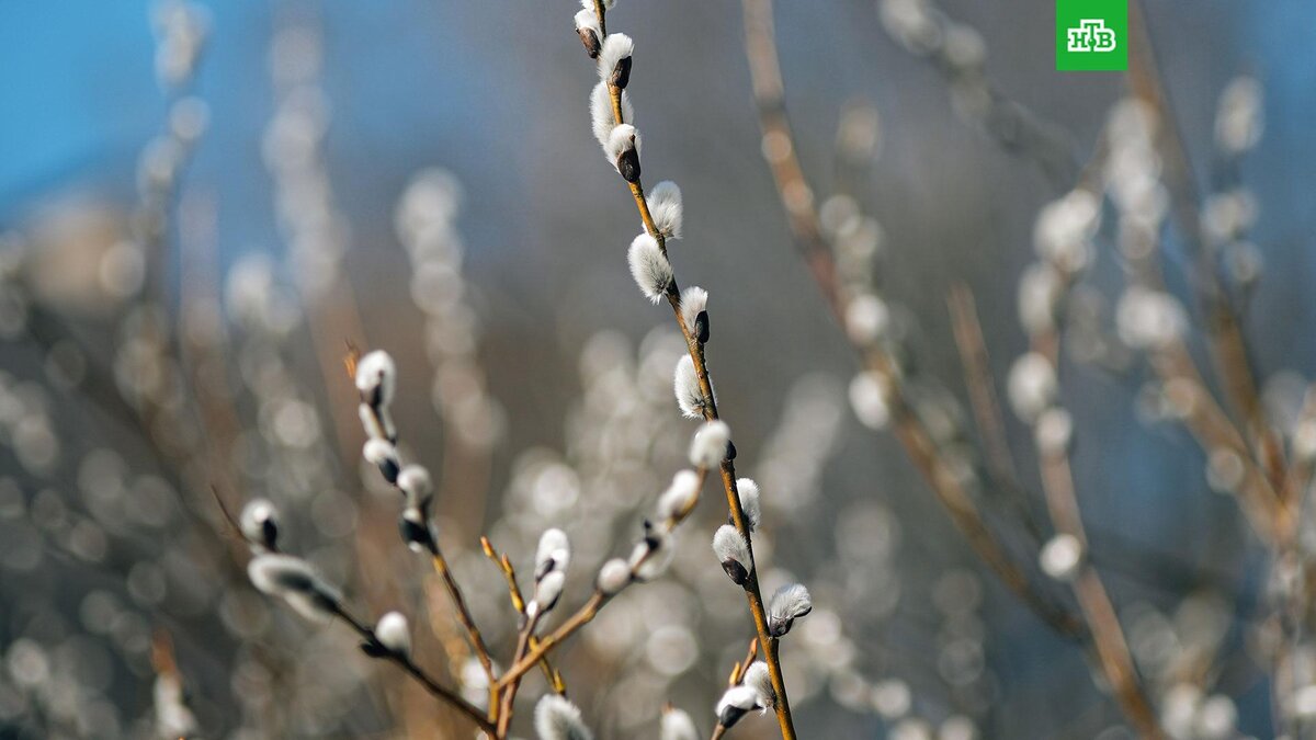    Фото: РИА Новости © 2024, Алексей Даничев