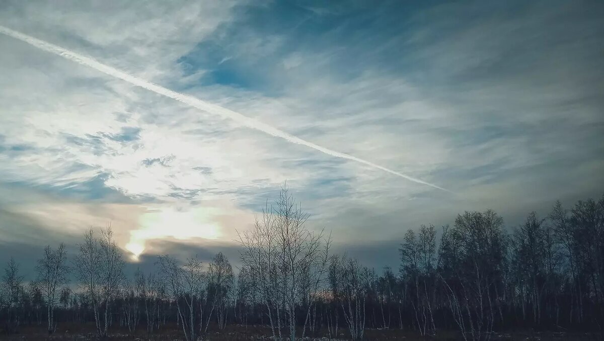     Источник: 1MI