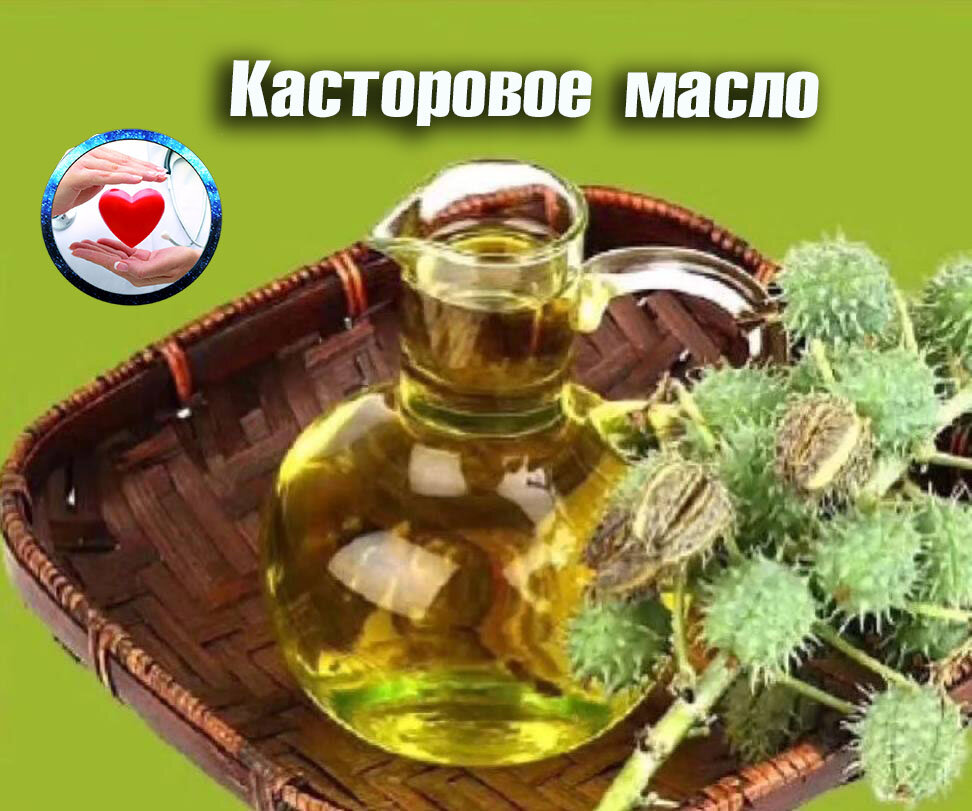 Касторовое масло для красоты! | Живой Путь: Забота о Здоровье | Дзен