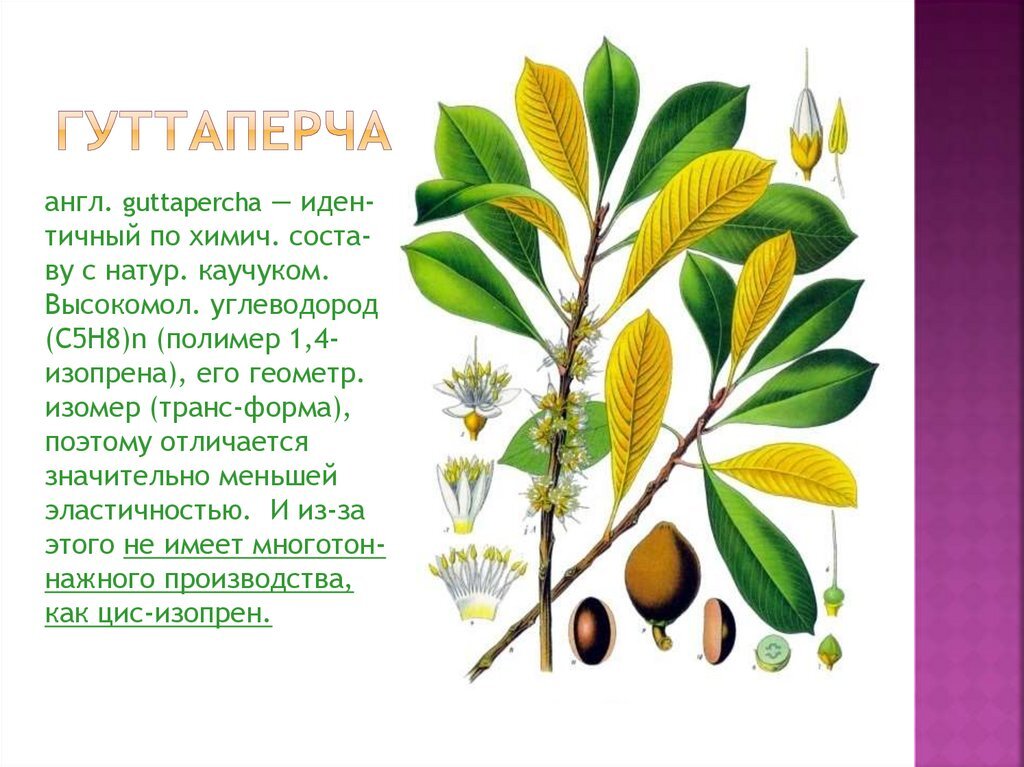 Фото с сайта ppt-online.org