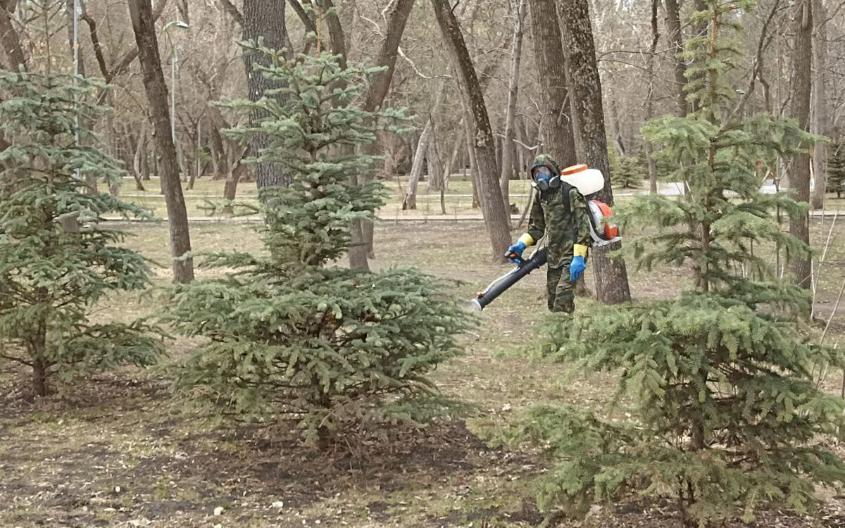 Фото: ФедералПресс / Максим Филиппович