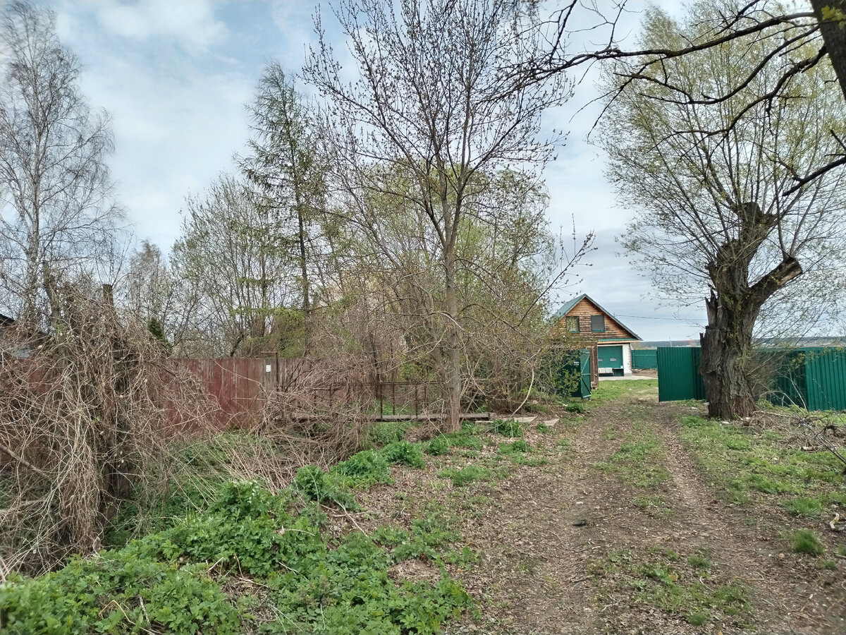 В центре кадра мост, а участок слева