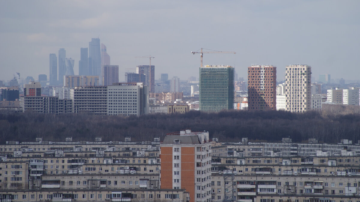 Вид из окон квартиры в Северном Реутове на Терлецкий лесопарк и строящийся ЖК PerovSKY от MR Group. 