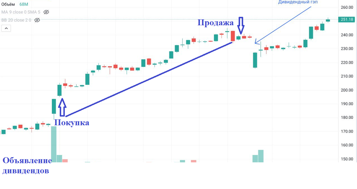 Дивиденды по акциям нлмк в 2024 году