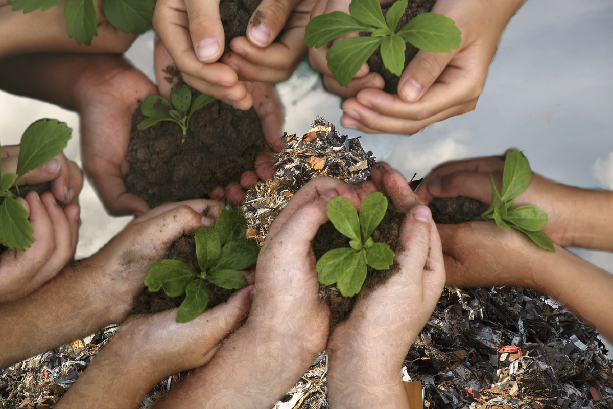 🌱ОХРАНА ОКРУЖАЮЩЕЙ СРЕДЫ🌱 вызовы, последствия и пути решения | Экология  ПРАВО | Дзен