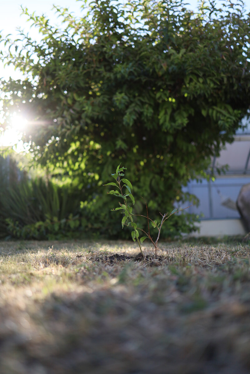 Обратите внимание на высоту солнышка над горизонтом
