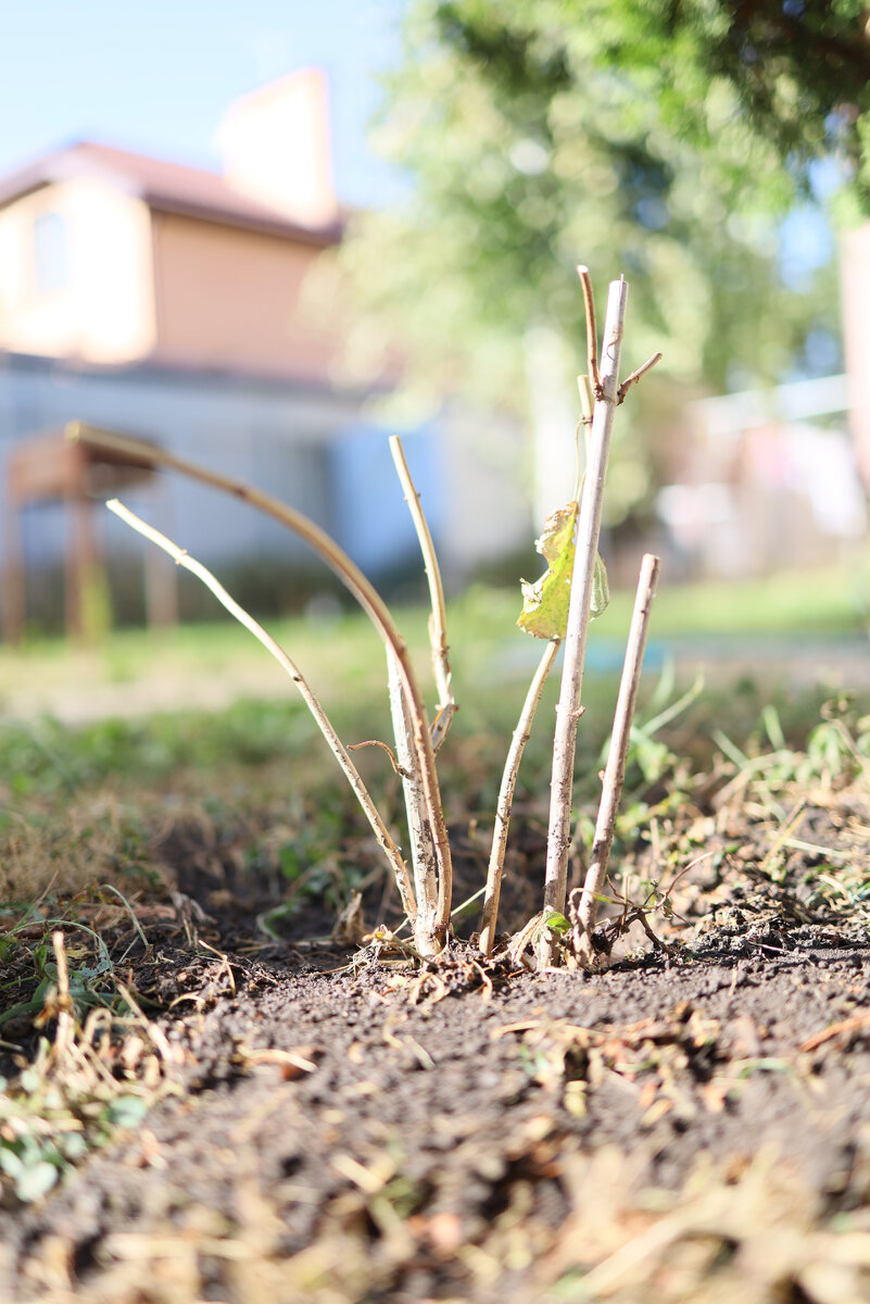 Полдень. Если в тени еще что то может выйти, то на солнце совсем нехорошо